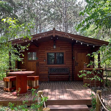 Fancy Fireflies Cabin Hayward Εξωτερικό φωτογραφία