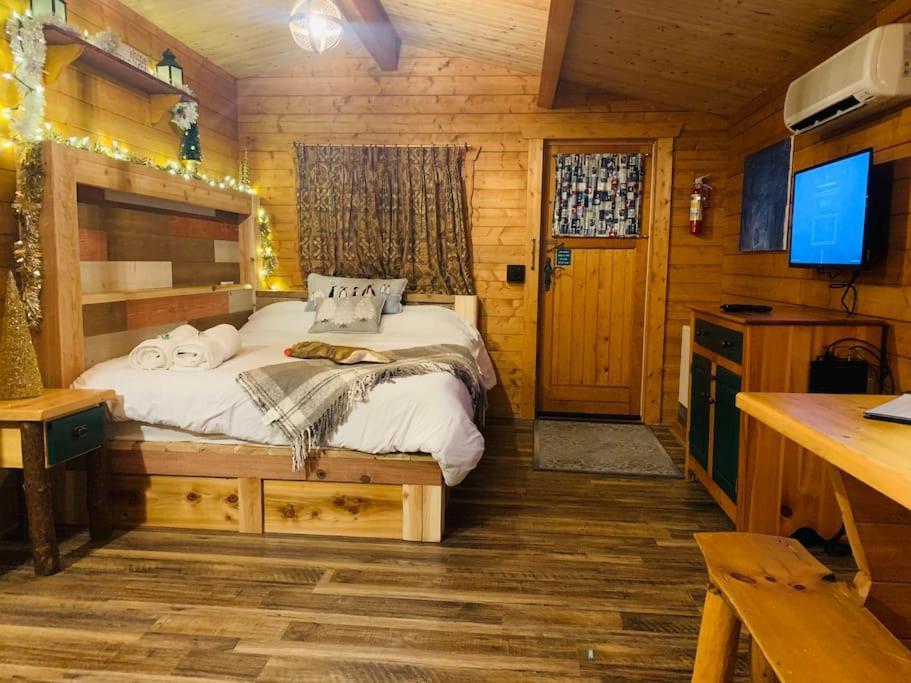 Fancy Fireflies Cabin Hayward Εξωτερικό φωτογραφία