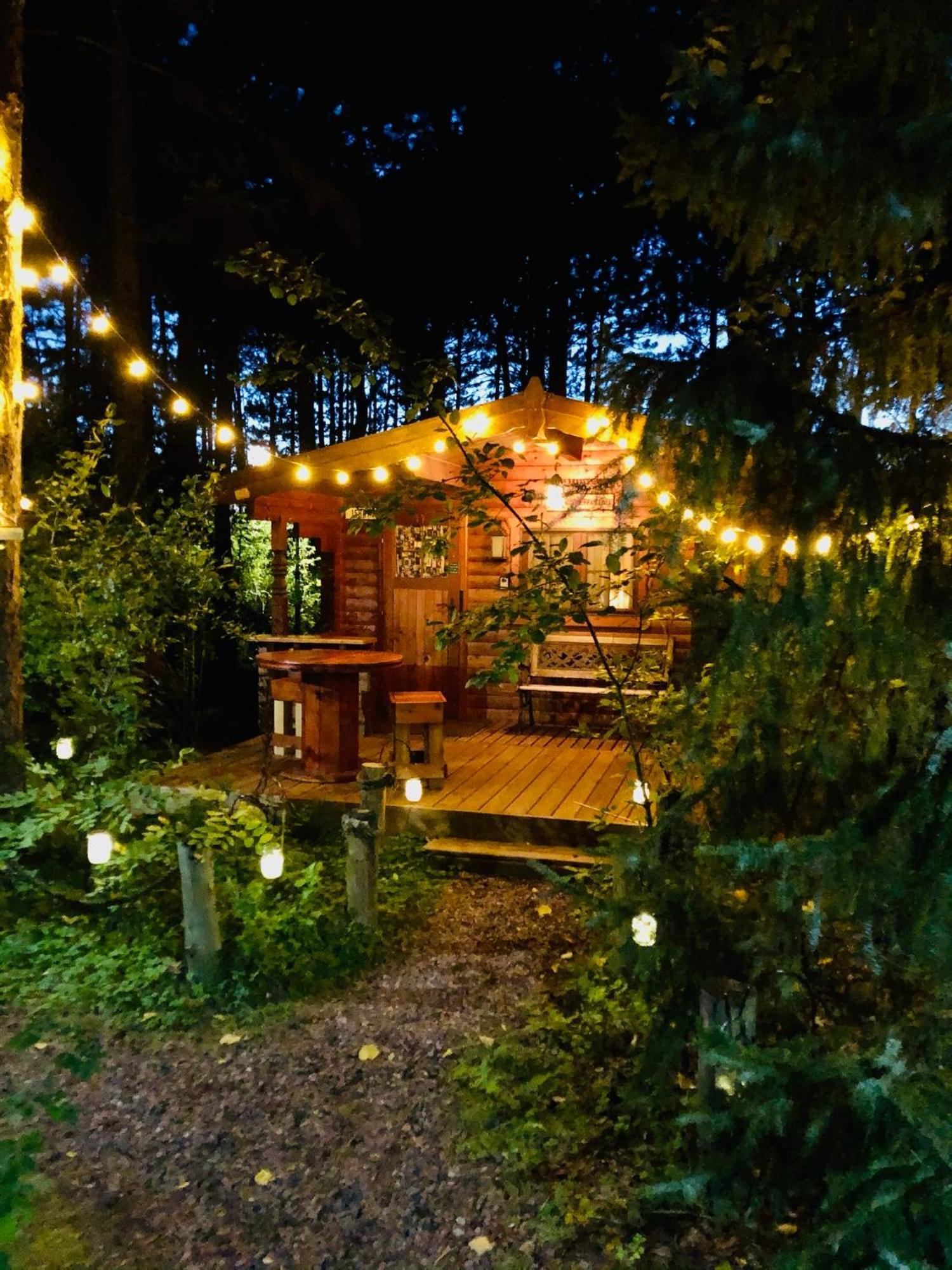 Fancy Fireflies Cabin Hayward Εξωτερικό φωτογραφία